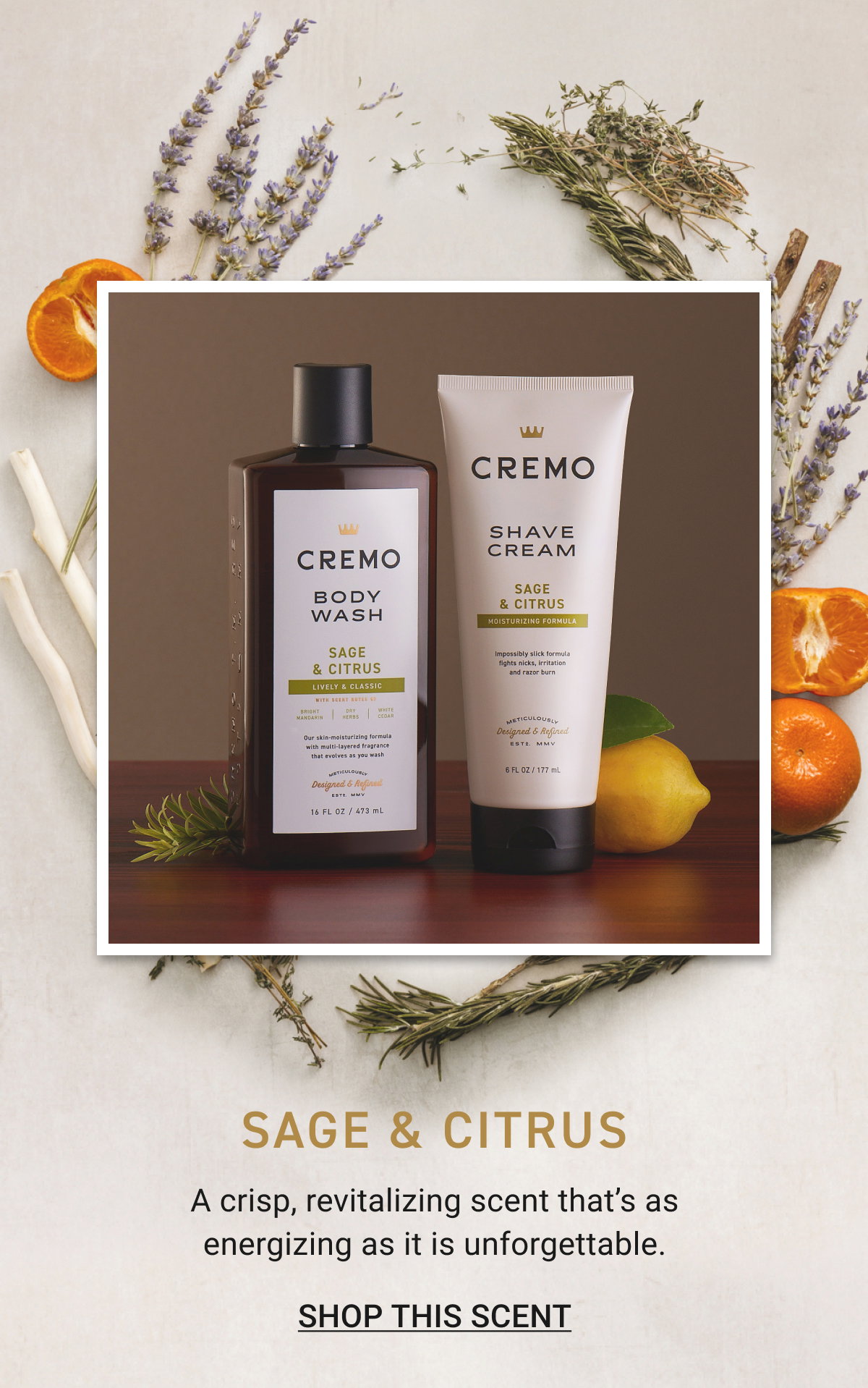 Shop Sage & Citrus