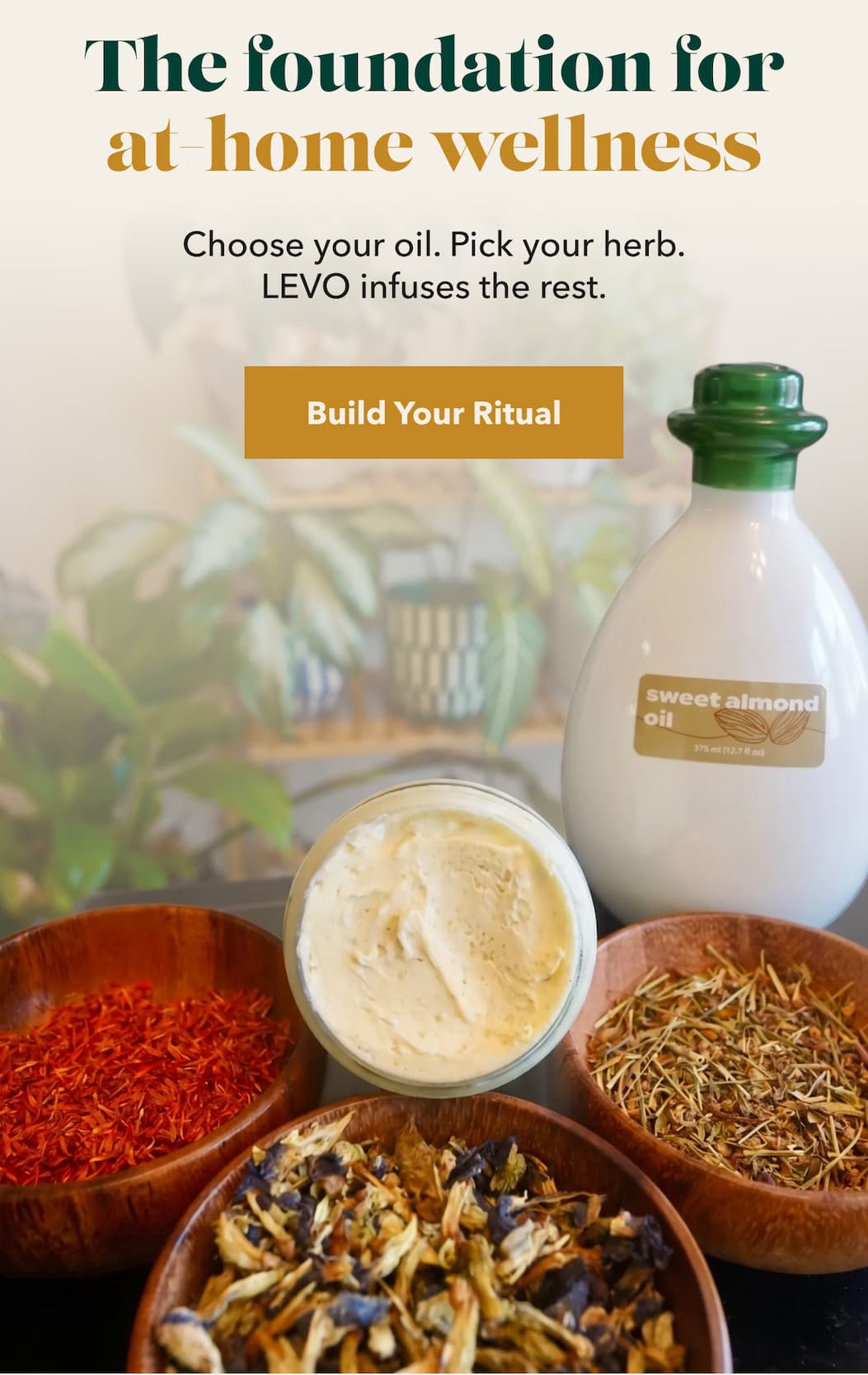 The foundation for at home wellness  Choose your oil. Pick your herb. LĒVO infuses the rest.  [Build Your Ritual]