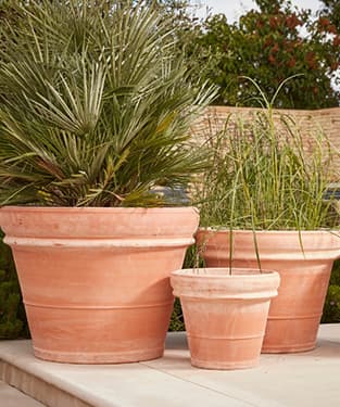 Bordo Italia Italian Terracotta Plant Pot
