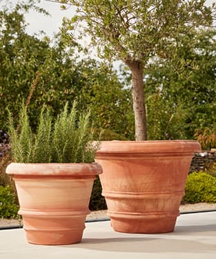Verona Extra Large Italian Terracotta Plant Pot