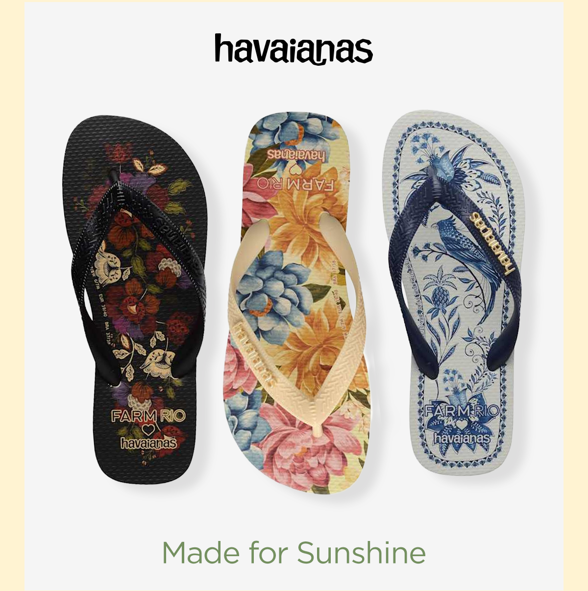 Havaianas | Made for Sunshine | Display Image of Assorted Havaianas Sandal Styles