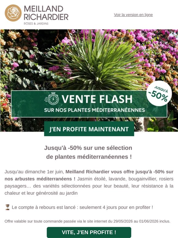 ⚡VENTE FLASH : Jusqu’à -50% sur nos plantes méditerranéennes