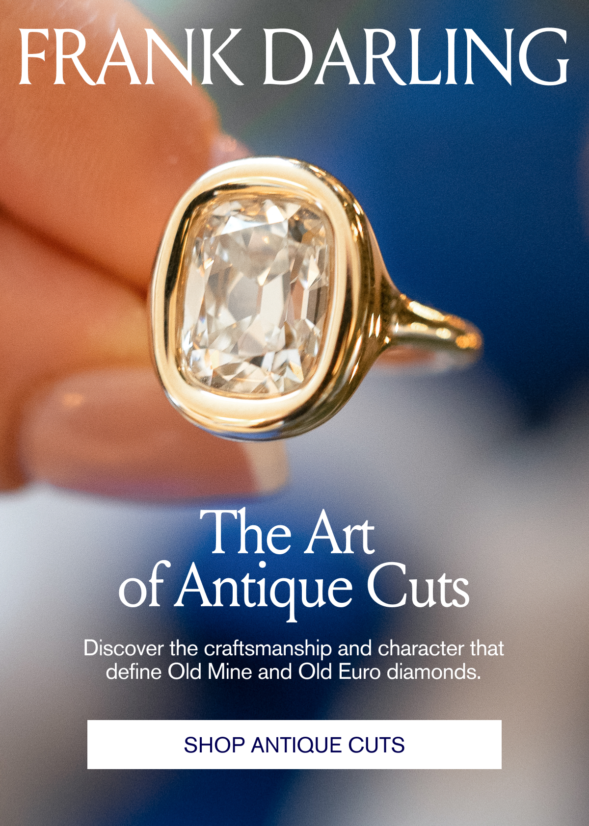 Shop antique cuts