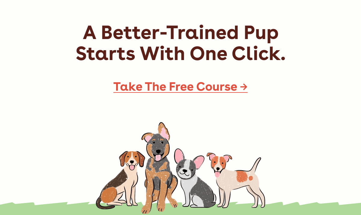 Take the free course 