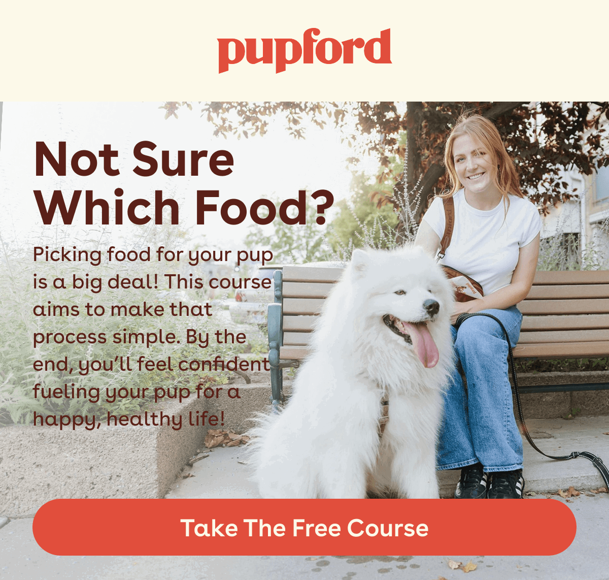 Take the free course!