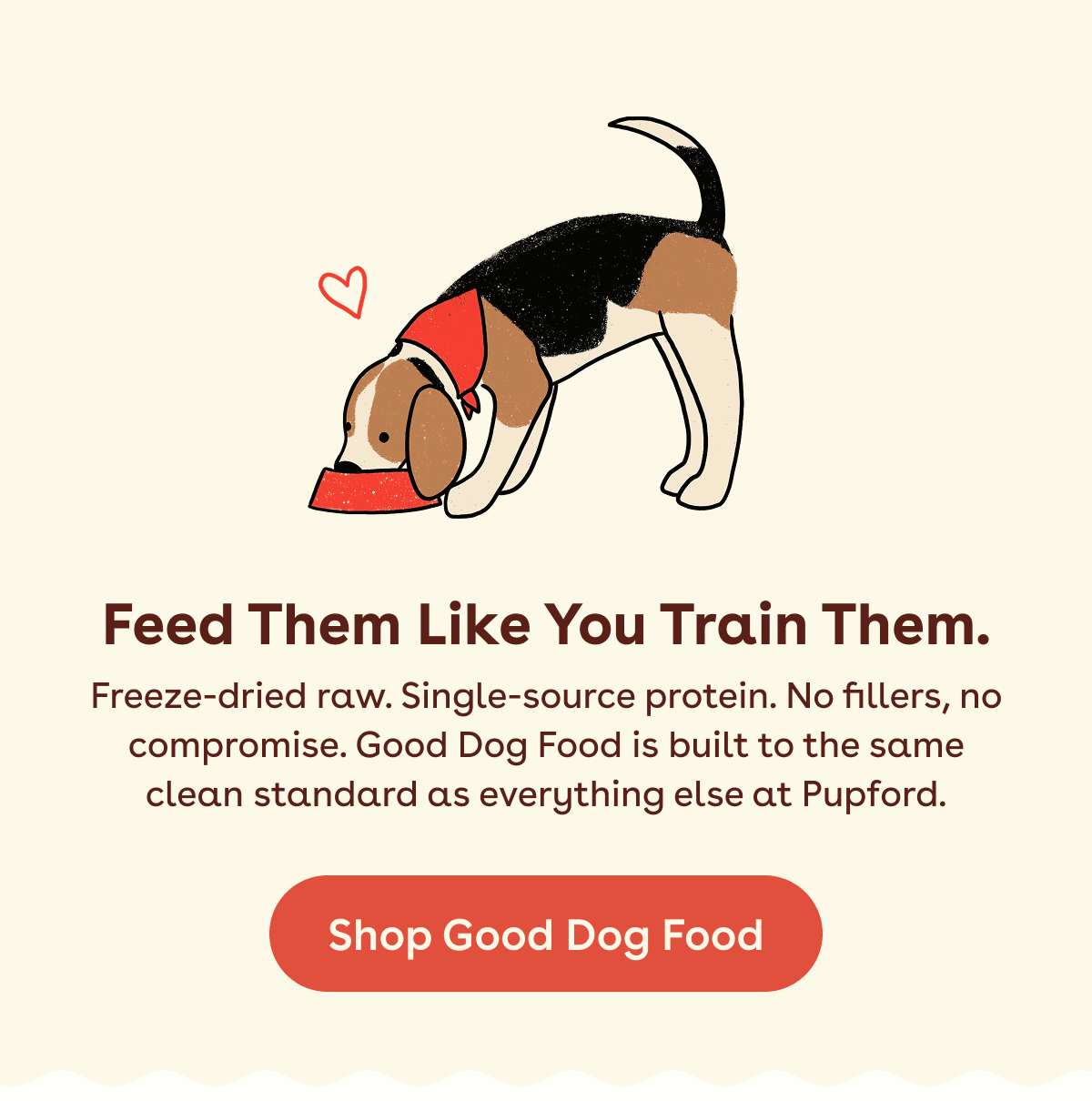 Shop good dog food