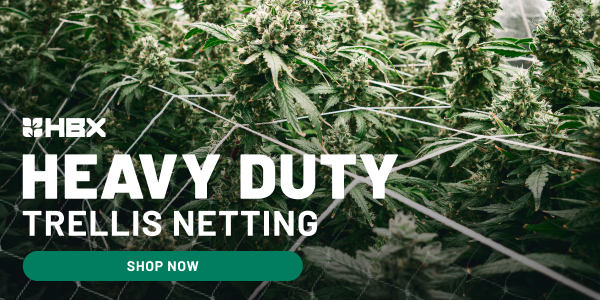 HBX Heavy Duty Trellis Netting | Shop Now