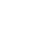 Icon1
