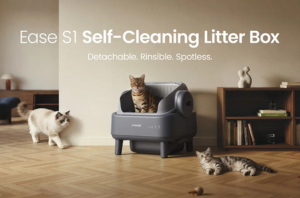 Your cat uses it. You barely touch it. What is it?