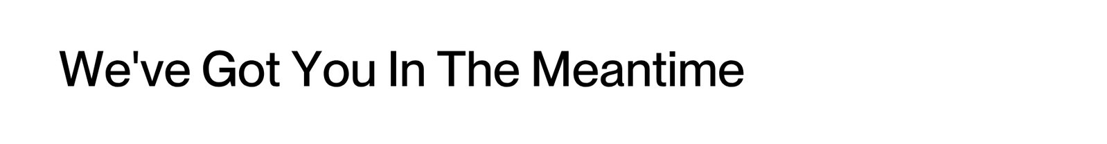 We've Got You In The Meantime