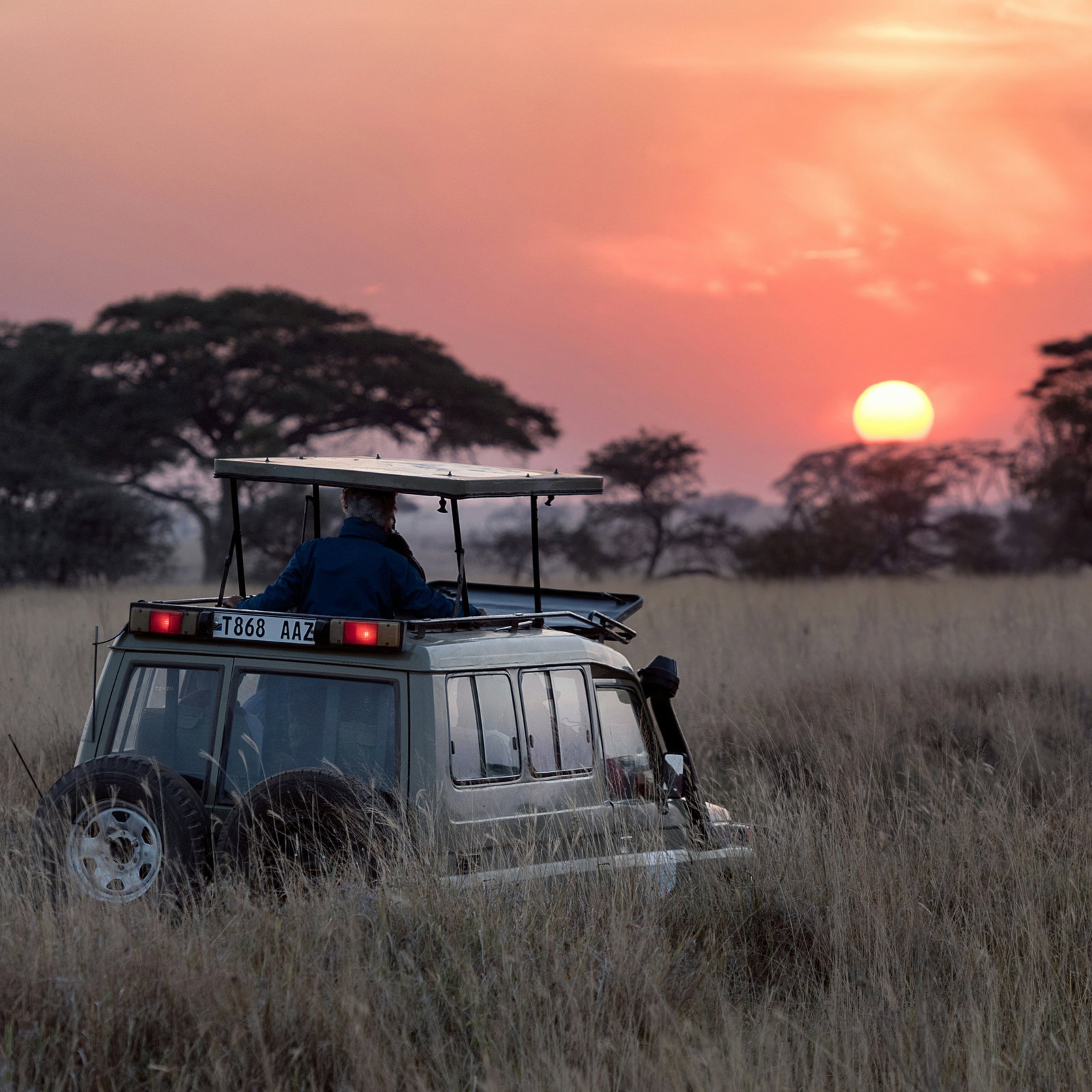 A Jeep on safari