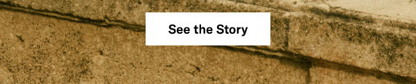 See the Story