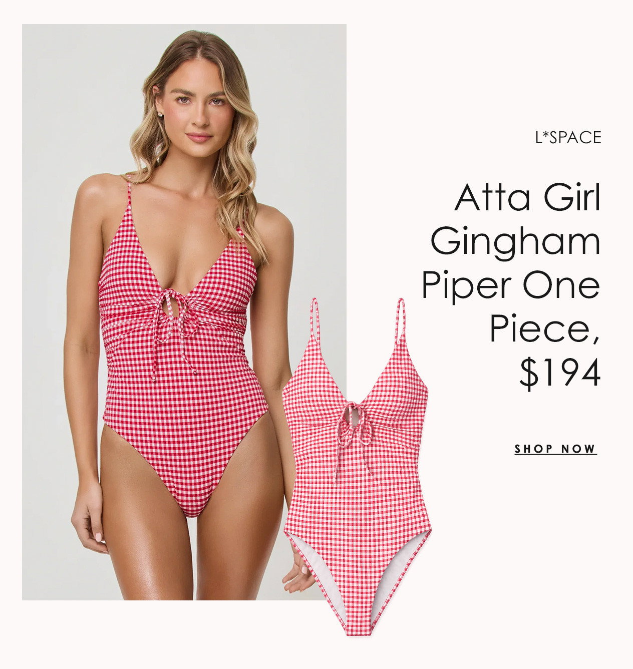 L*SPACE Atta Girl Gingham Piper One Piece