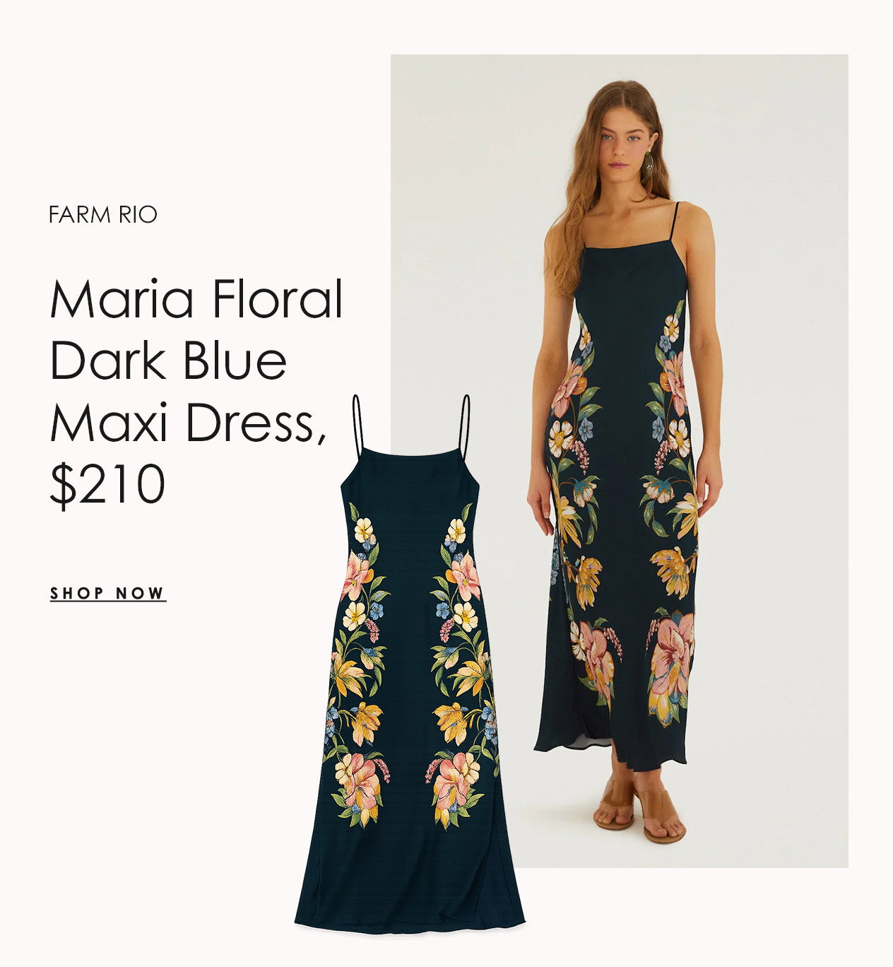 FARM RIO Maria Floral Dark Blue Maxi Dress