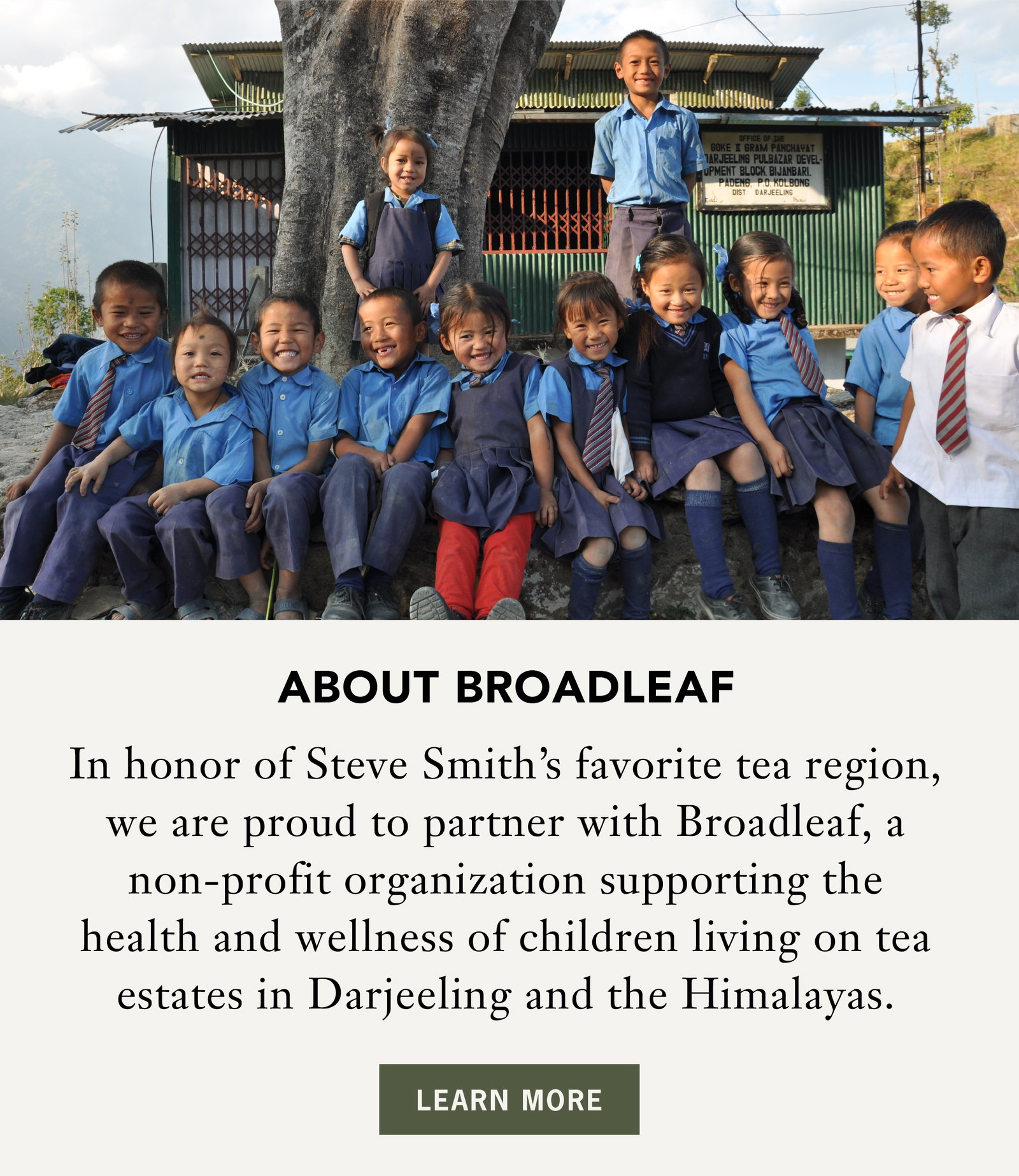 About Broadleaf   In honor of Steve Smith's tea region, we are proud to partner with Broadleaf, a non-profit organization supporting the health and wellness of children living on tea estates in Darjeeling and the Himalayas.    LEARN MORE 