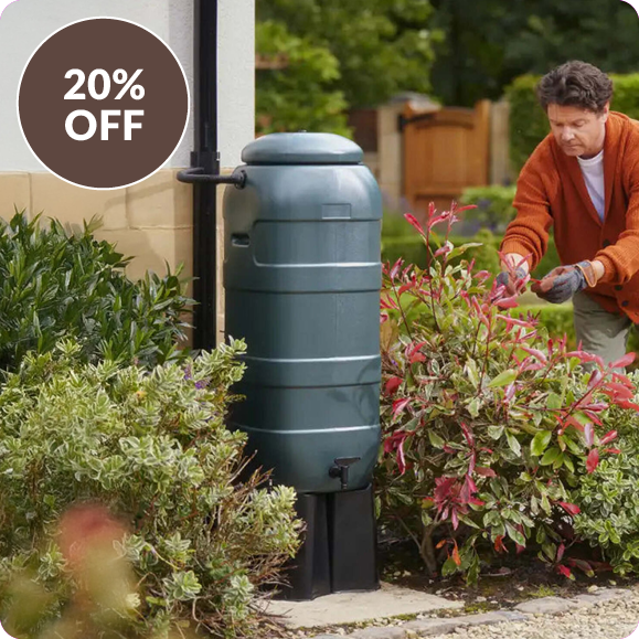 20% off