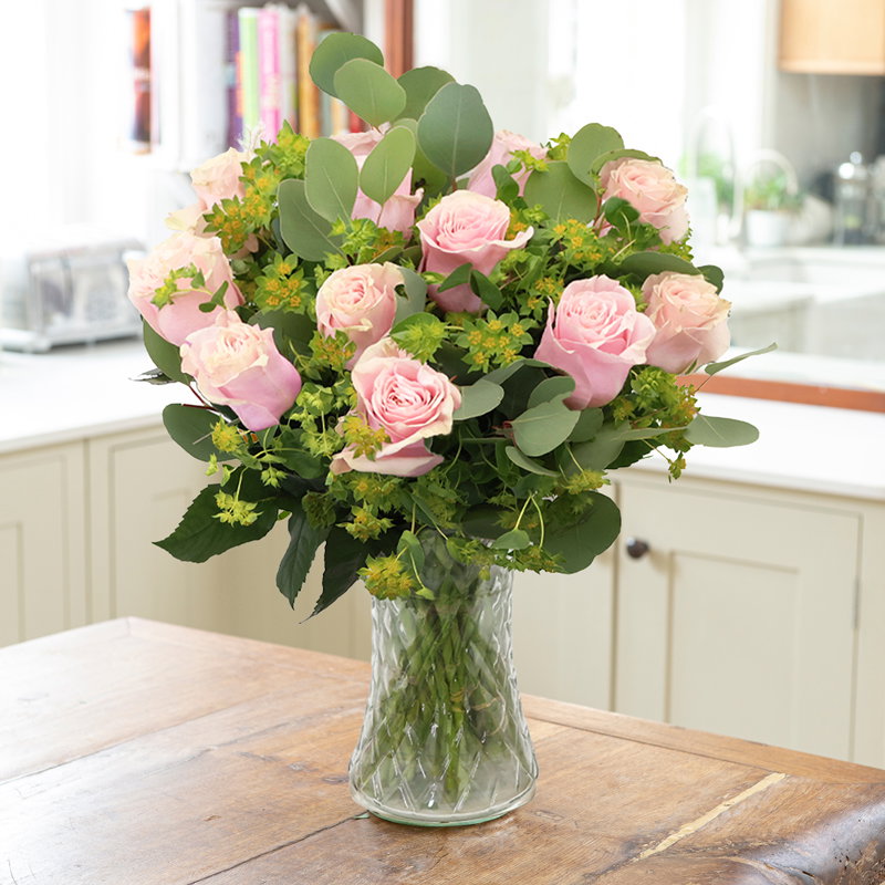 Image of 12-24 Blush Pink Roses
