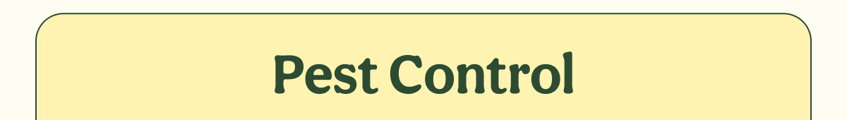 Pest Control