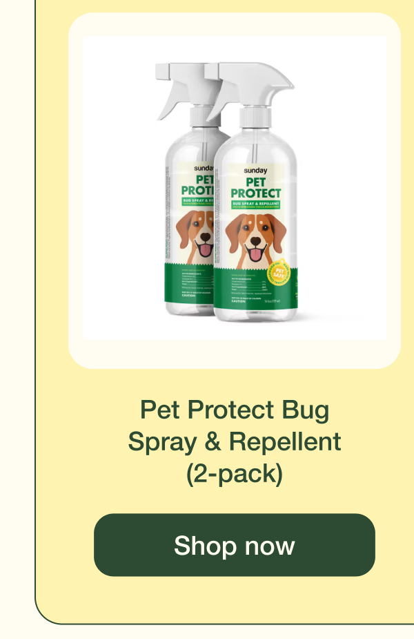 Pet Protect Bug Spray & Repellent (2-pack) | Shop now