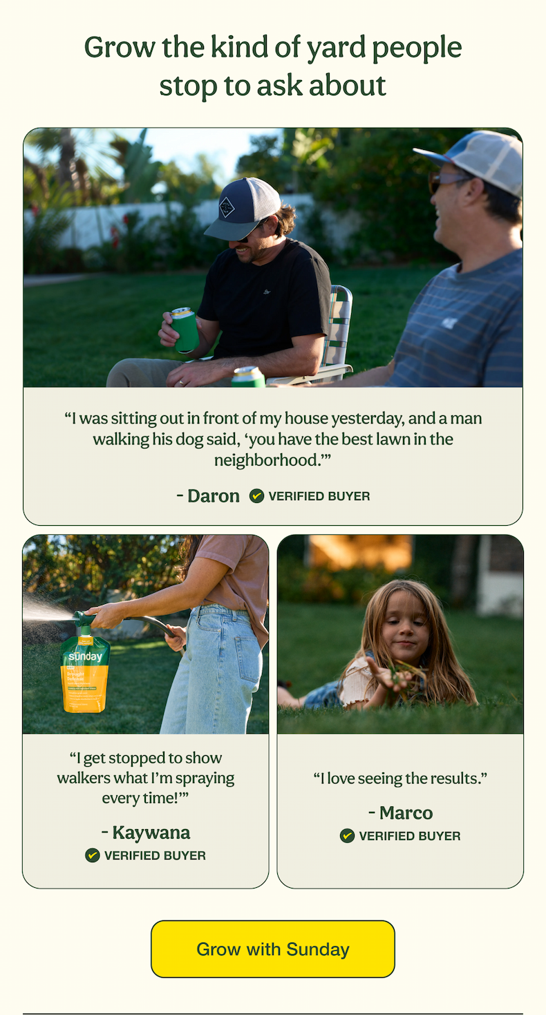 Grow the kind of yard people stop to ask about | Grow with Sunday
