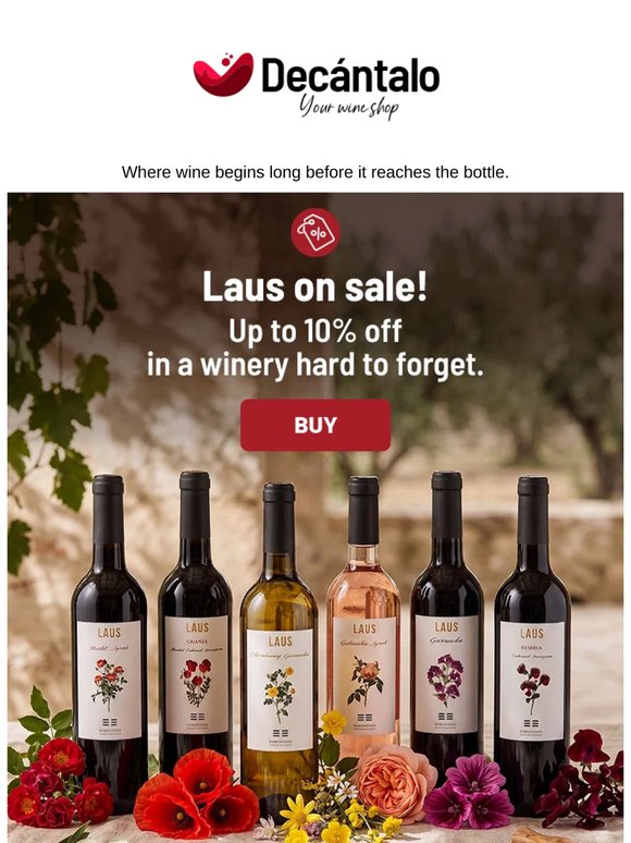 Laus on offer!