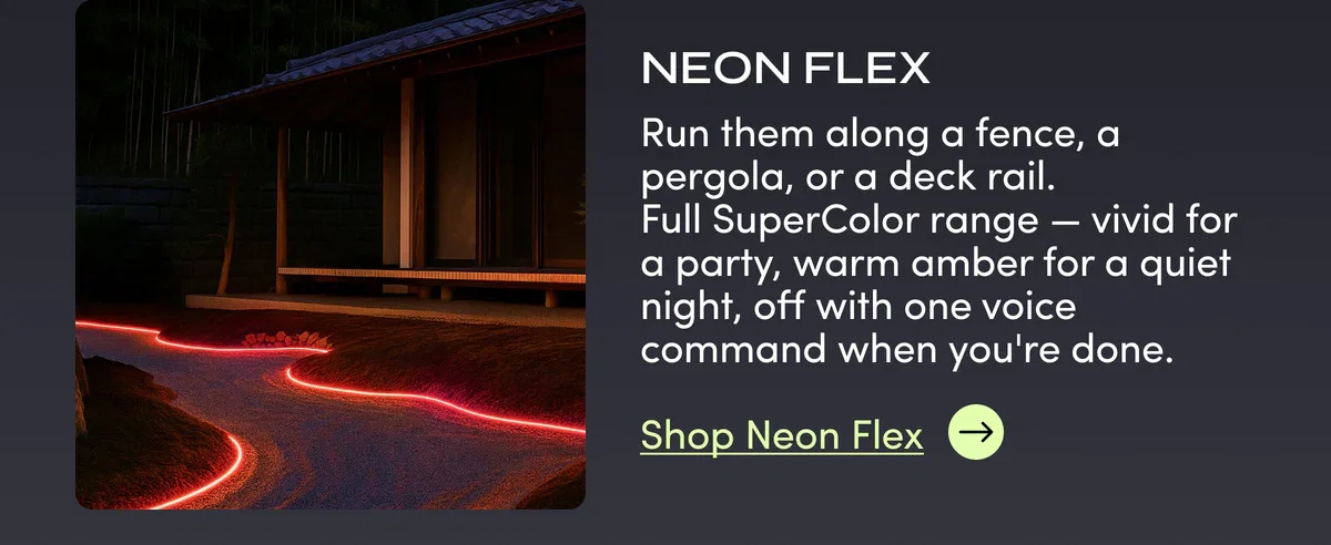 NEON FLEX | Shop Neon Flex