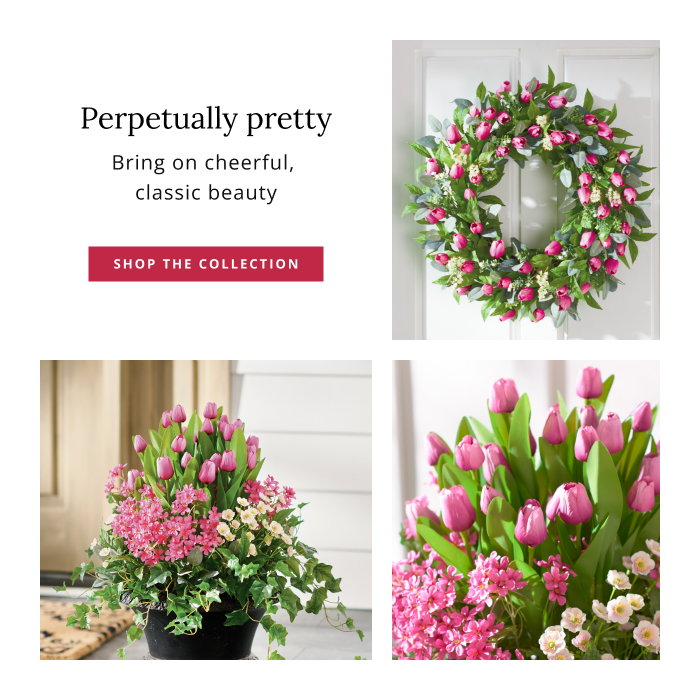 Shop the Terrace Tulip Collection