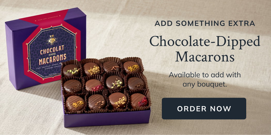 Chocolate-Dipped Macarons