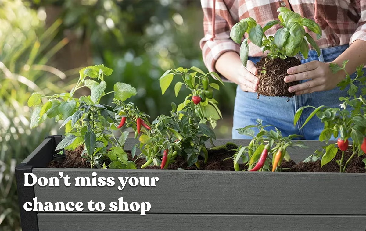 Don’t miss your chance to shop