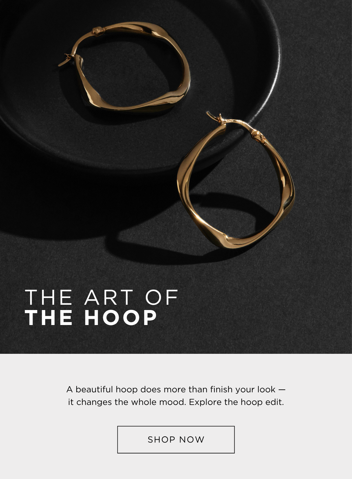 The Art of The Hoop