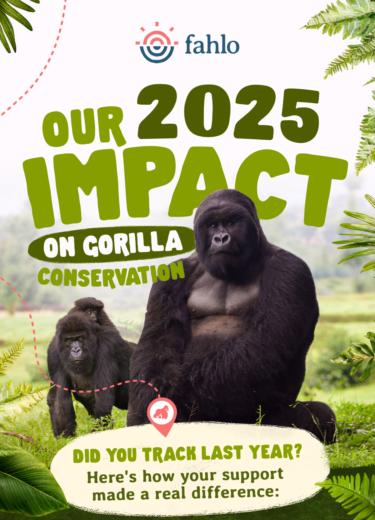 Our 2025 impact on gorilla conservation! Here's how your support made a real difference: