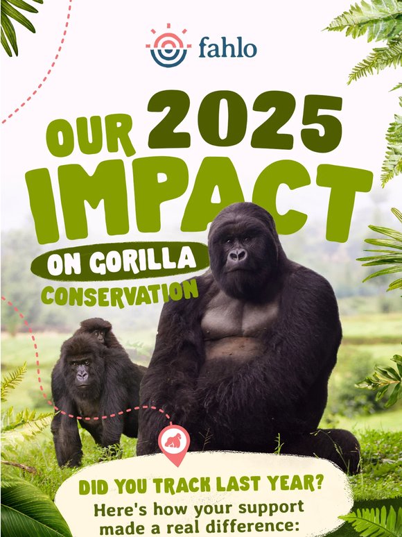 The impact you have on gorillas 🦍💚