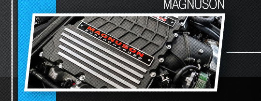 Shop Magnuson