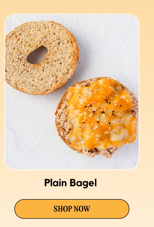 Plain Bagel