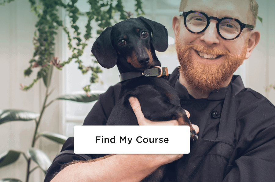 Find my course