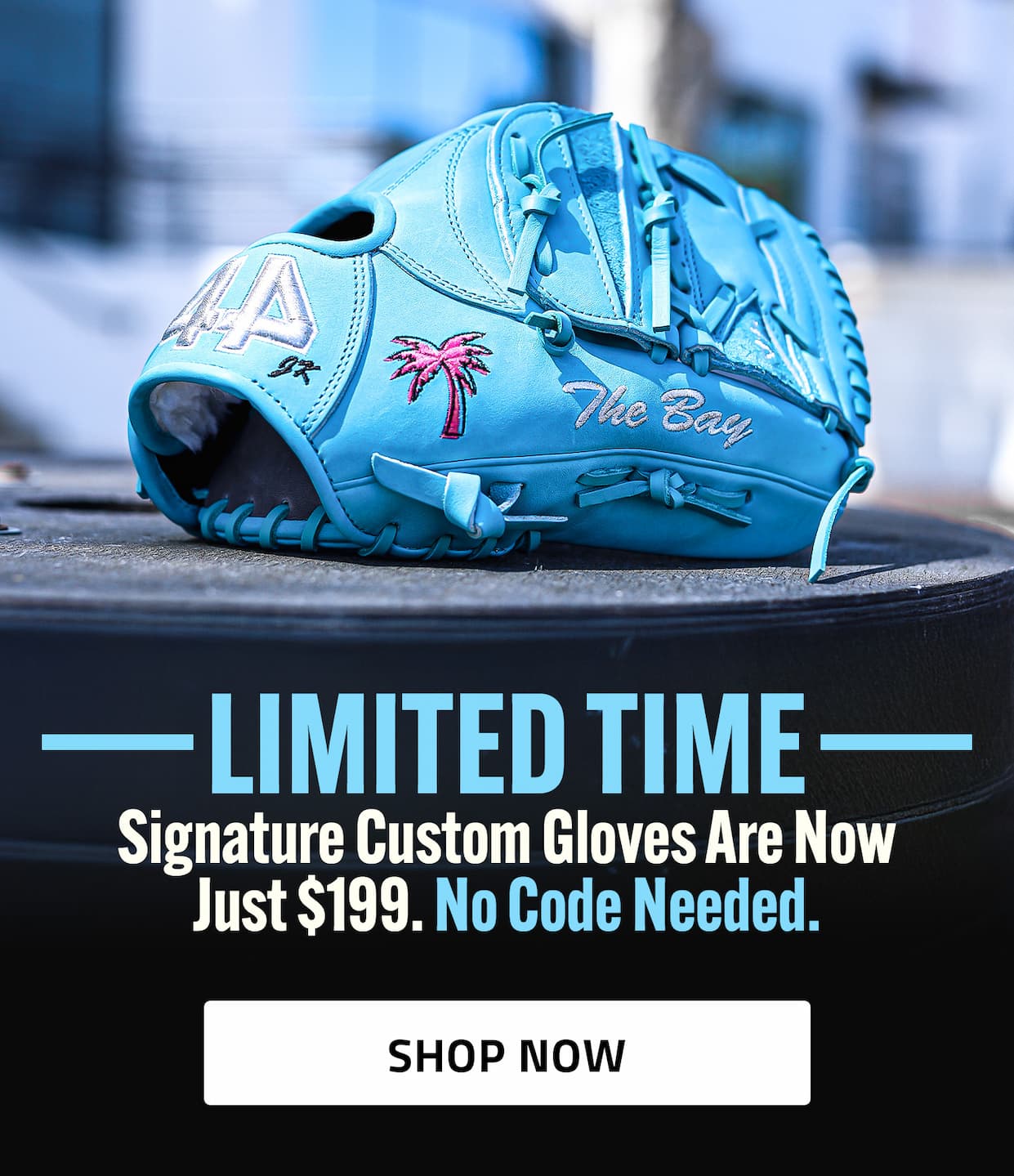 Signature Customs Sale