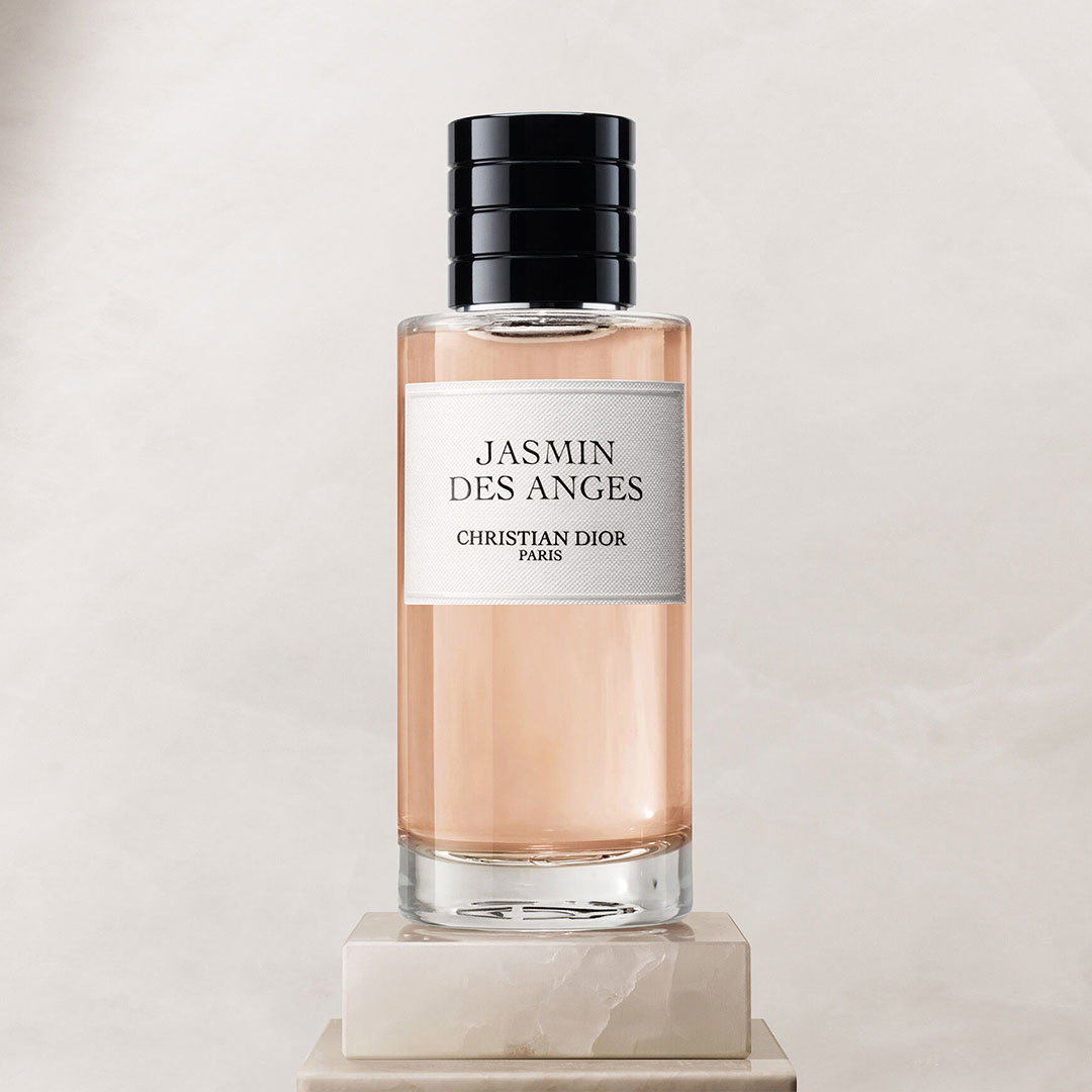 Jasmin des Anges