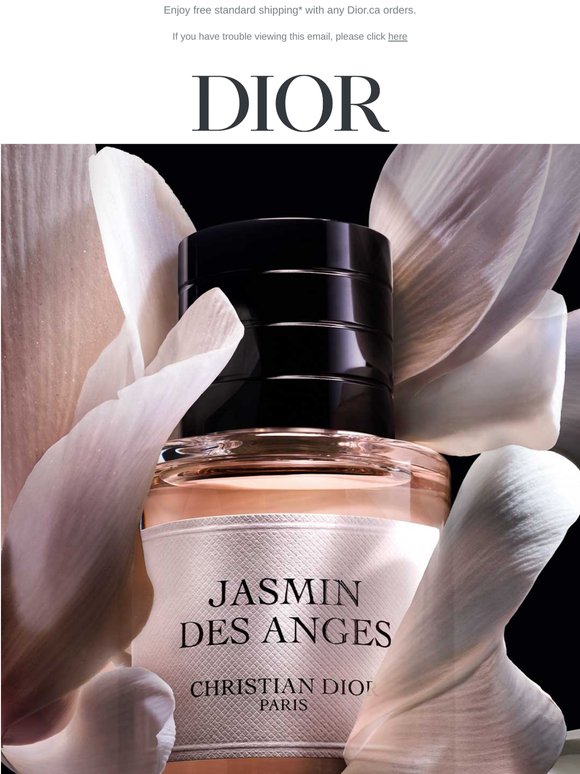La Collection Privée | The Art of Summer