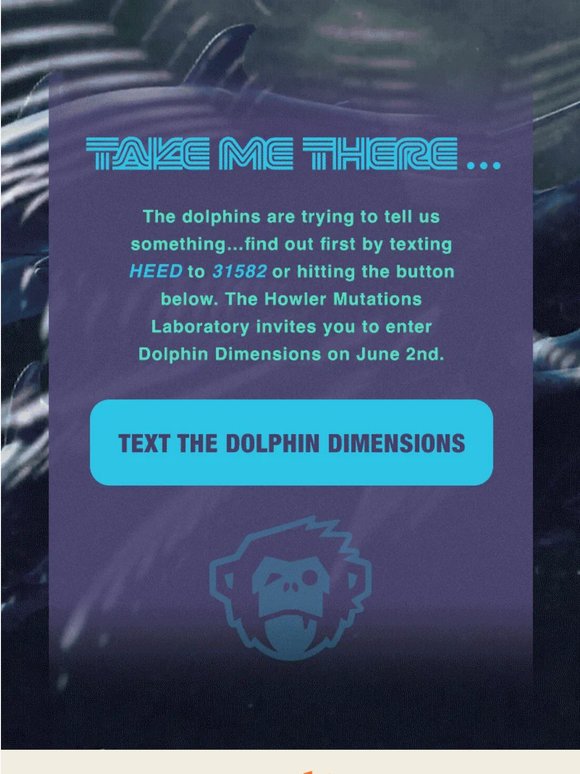Dolphins Are Magic
