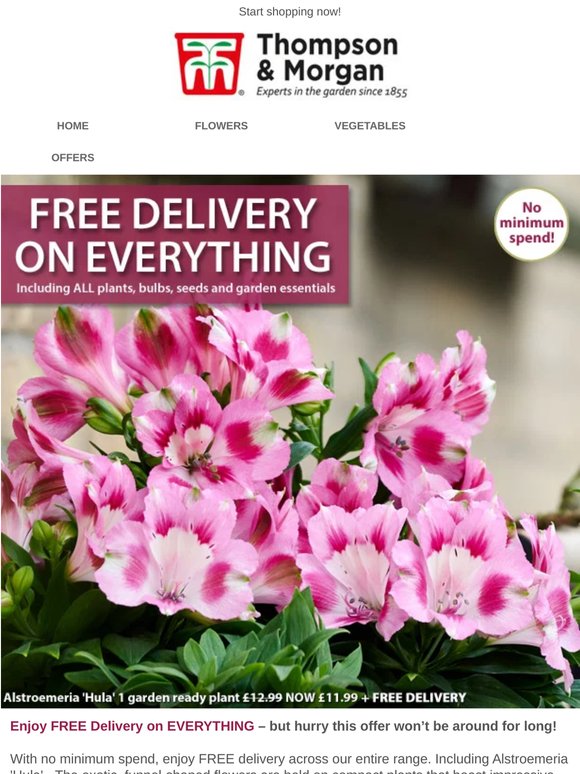 FREE DELIVERY on EVERYTHING!
