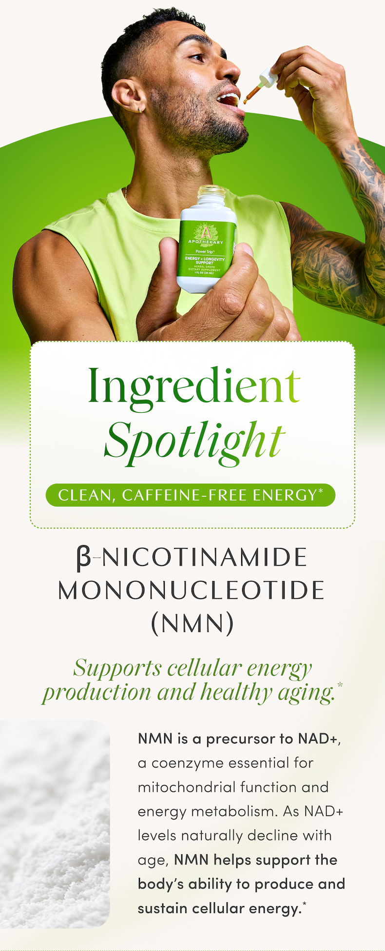 Ingredient Spotlight | CLEAN, CAFFEINE-FREE ENERGY* | β-NICOTINAMIDE MONONUCLEOTIDE (NMN) | Supports cellular energy production and healthy aging.* | NMN is a precursor to NAD+, a coenzyme essential for mitochondrial function and energy metabolism. As NAD+ levels naturally decline with age, NMN helps support the body’s ability to produce and sustain cellular energy.*