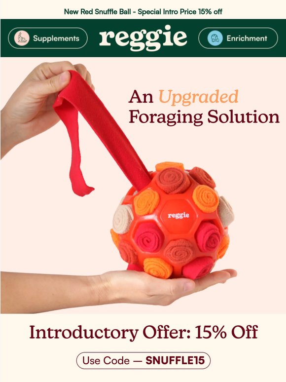 Forage 15% OFF the New Snuffle Ball Red ❤️