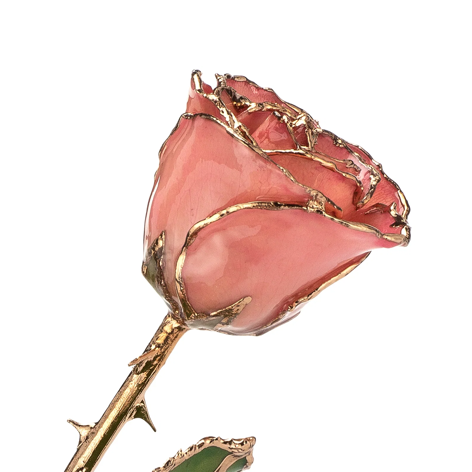 Image of 24K Gold Forever Rose - Pink