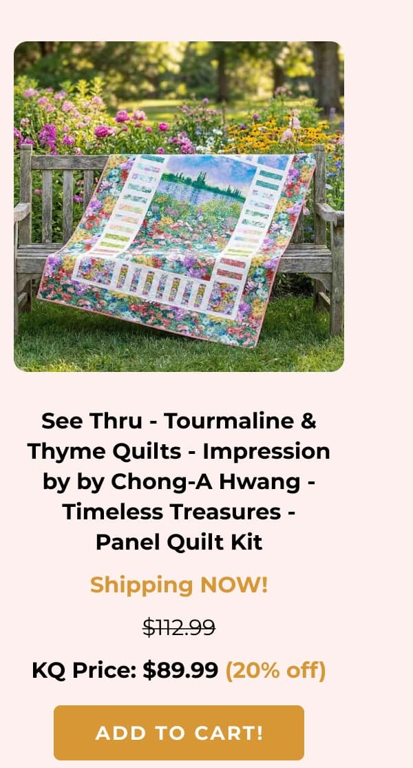 See Thru Quilt Kit