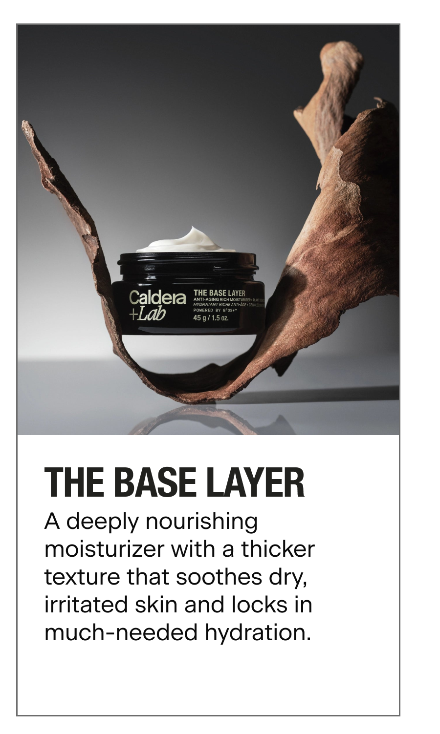 The Base Layer