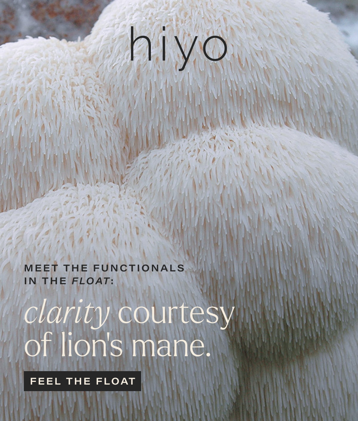 hiyo | MEET THE FUNCTIONALS IN THE FLOAT: clarity courtesy of lion’s mane. | [ FEEL THE FLOAT ]