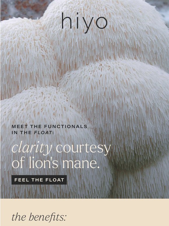 LION’S MANE STATE OF MIND.