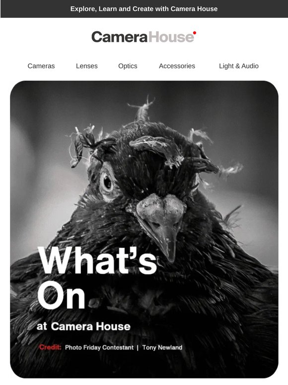 WHAT’S ON AT CAMERA HOUSE | 🌿 Photo Comp, B&W Film and Beginner Workshops 🎞️
