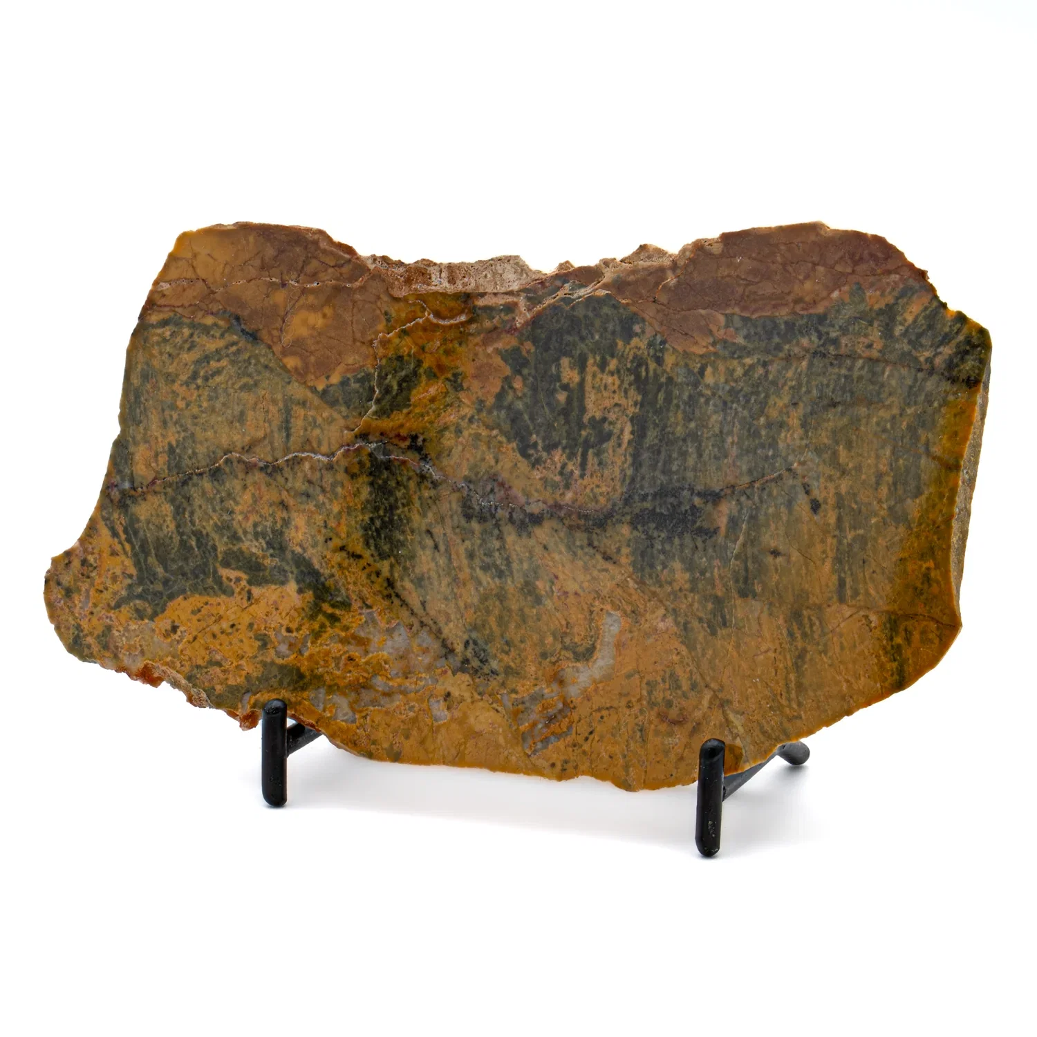 Image of Duck Creek Dolomite Stromatolite Fossils