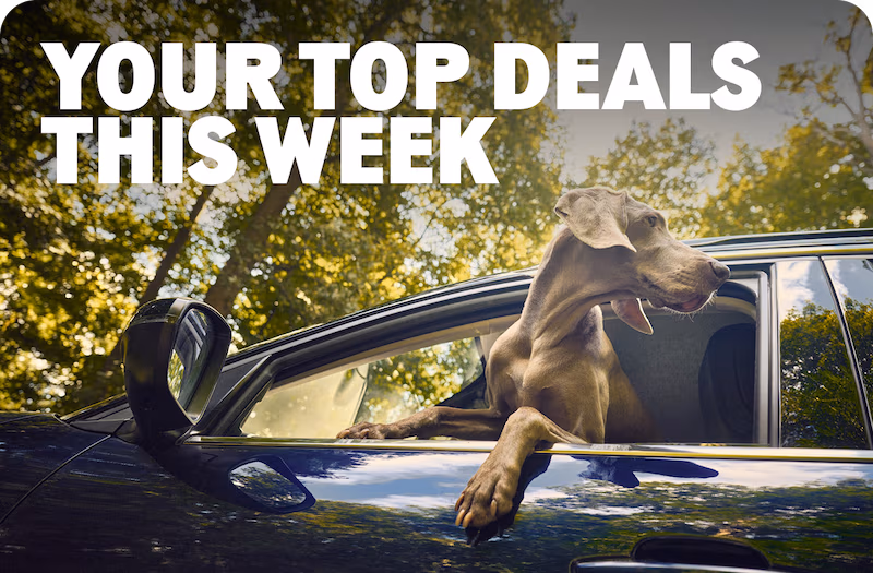 Your top deals this week
